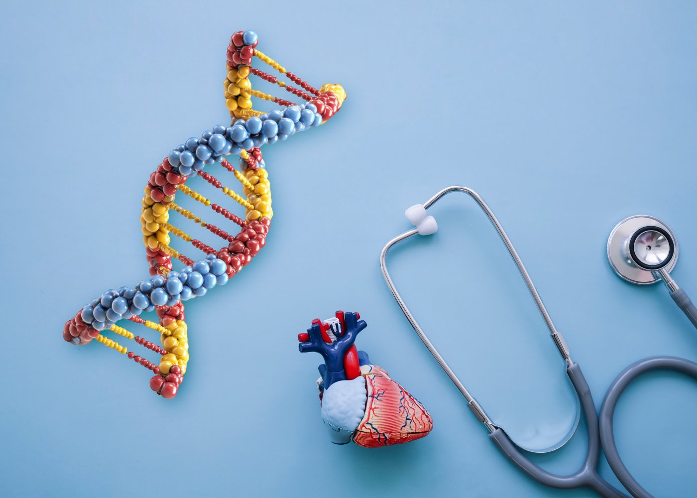 Photo of a cardiogenetics consultation