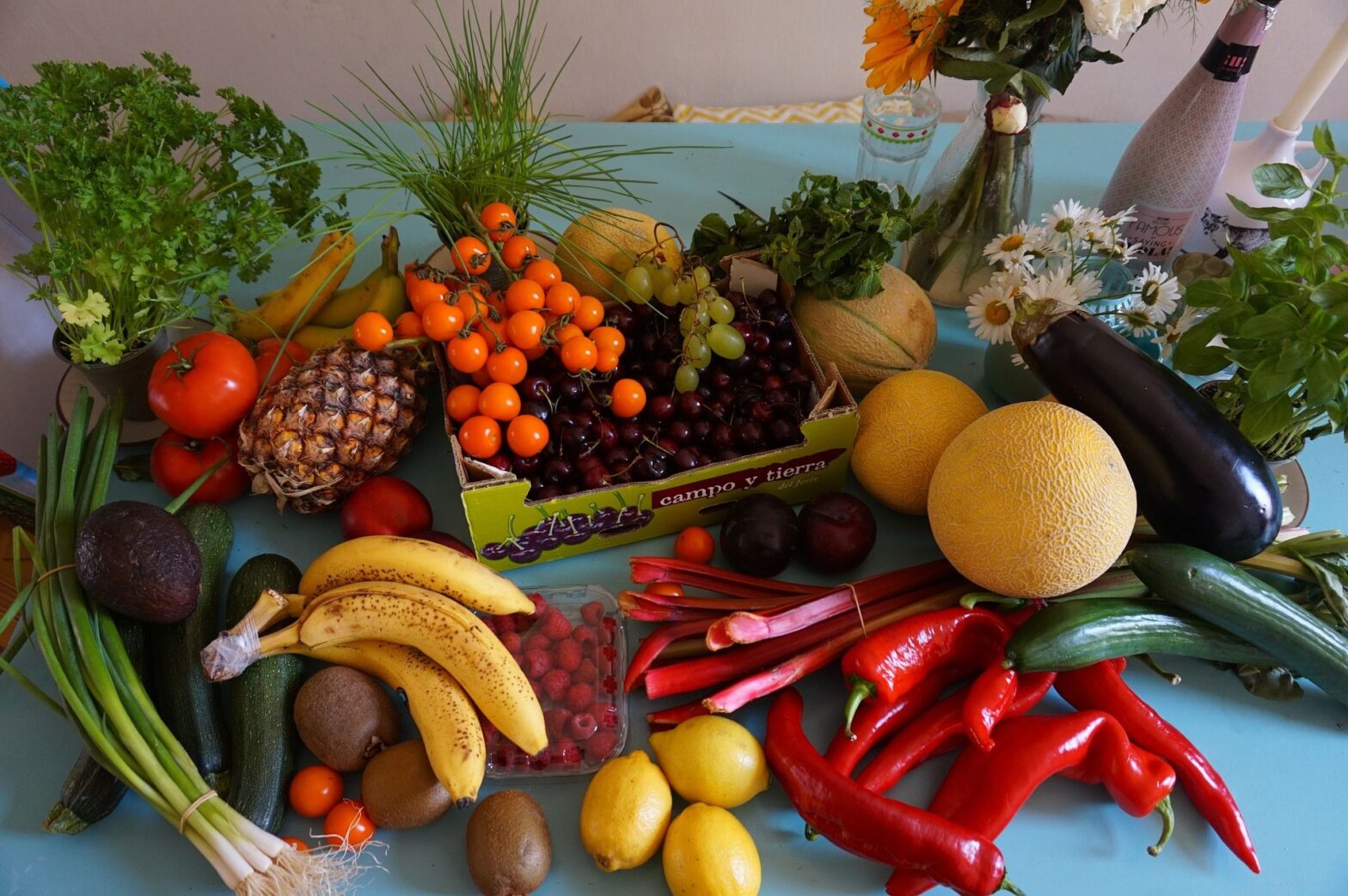 Polyphenols: Allies Against Inflammation and Cognitive Decline